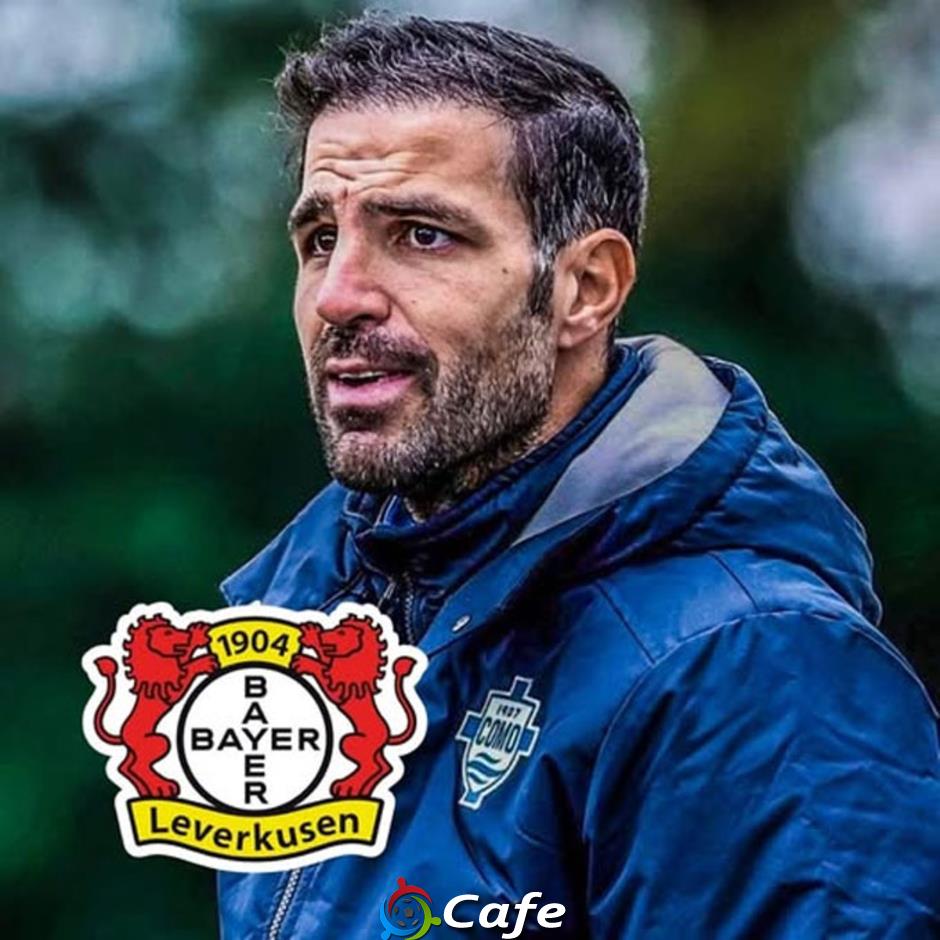 Cesc Fabregas sẽ thay Alonso dẫn dắt Leverkusen vào tuần tới
