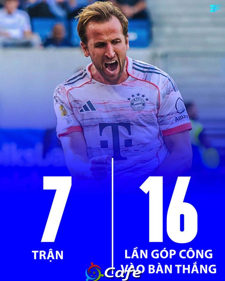 Harry Kane tiếp tục khởi đầu hoàn hảo tại Bundesliga