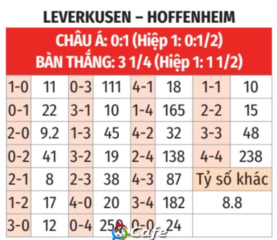 Nhận định bóng đá Leverkusen vs Hoffenheim, 20h30 ngày 23/8: Ten Hag chào sân bằng chiến thắng!