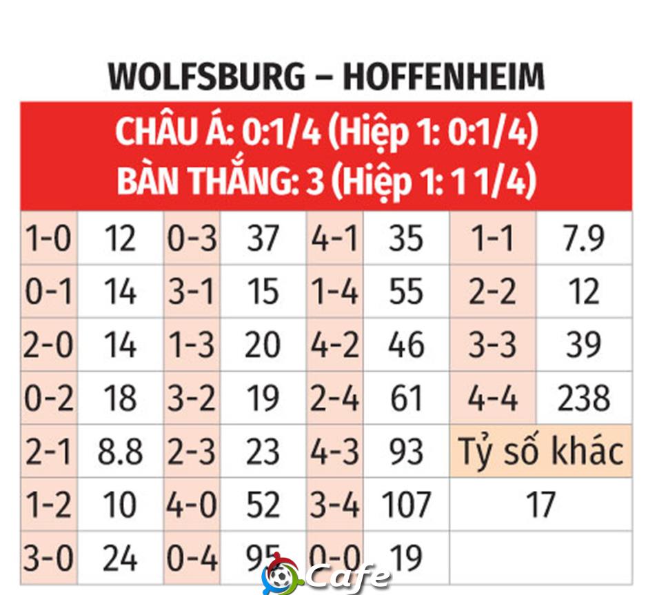 Nhận định bóng đá Wolfsburg vs Hoffenheim, 01h30 ngày 10/5: Khách khổ sở