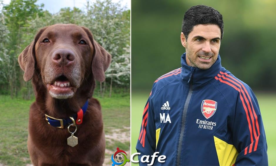 Hết mời chó, Arsenal lại mời phi công dạy cầu thủ Hết mời chó, Arsenal lại mời phi công dạy cầu thủ