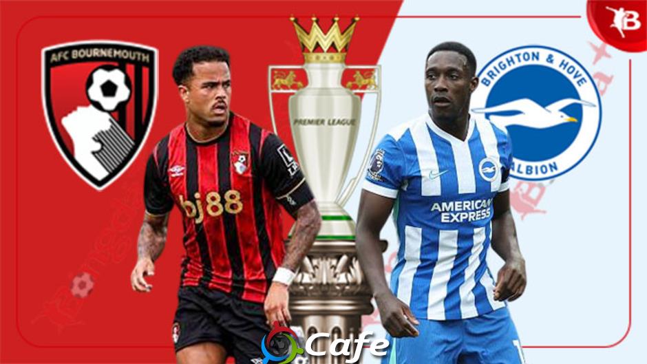 Nhận định bóng đá Bournemouth vs Brighton, 21h00 ngày 13/9: Tin vào chim mòng biển