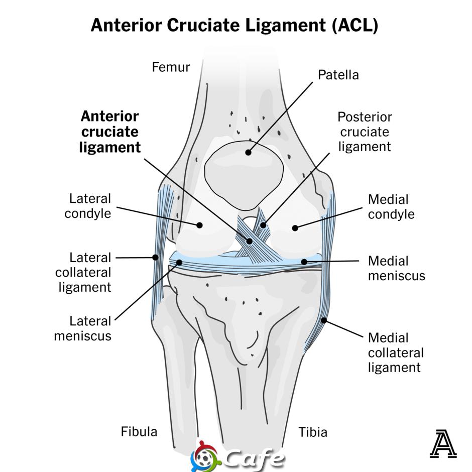 Rodri vẫn là phế binh của ACL