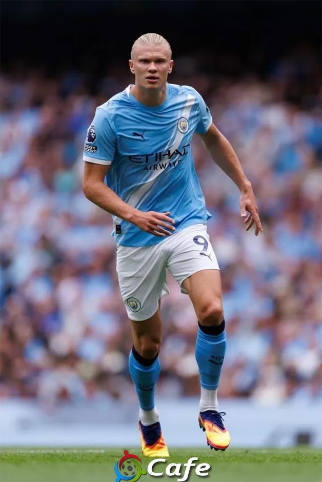 Vì sao Premier League ưa chuộng các ‘sếu vườn’?